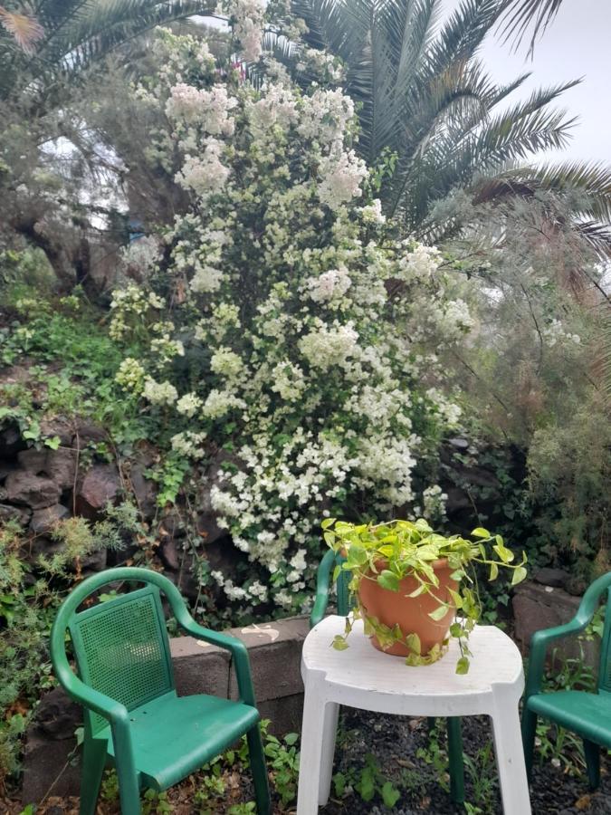 Appartement -The Garden - à Las Palmas de Gran Canaria Extérieur photo