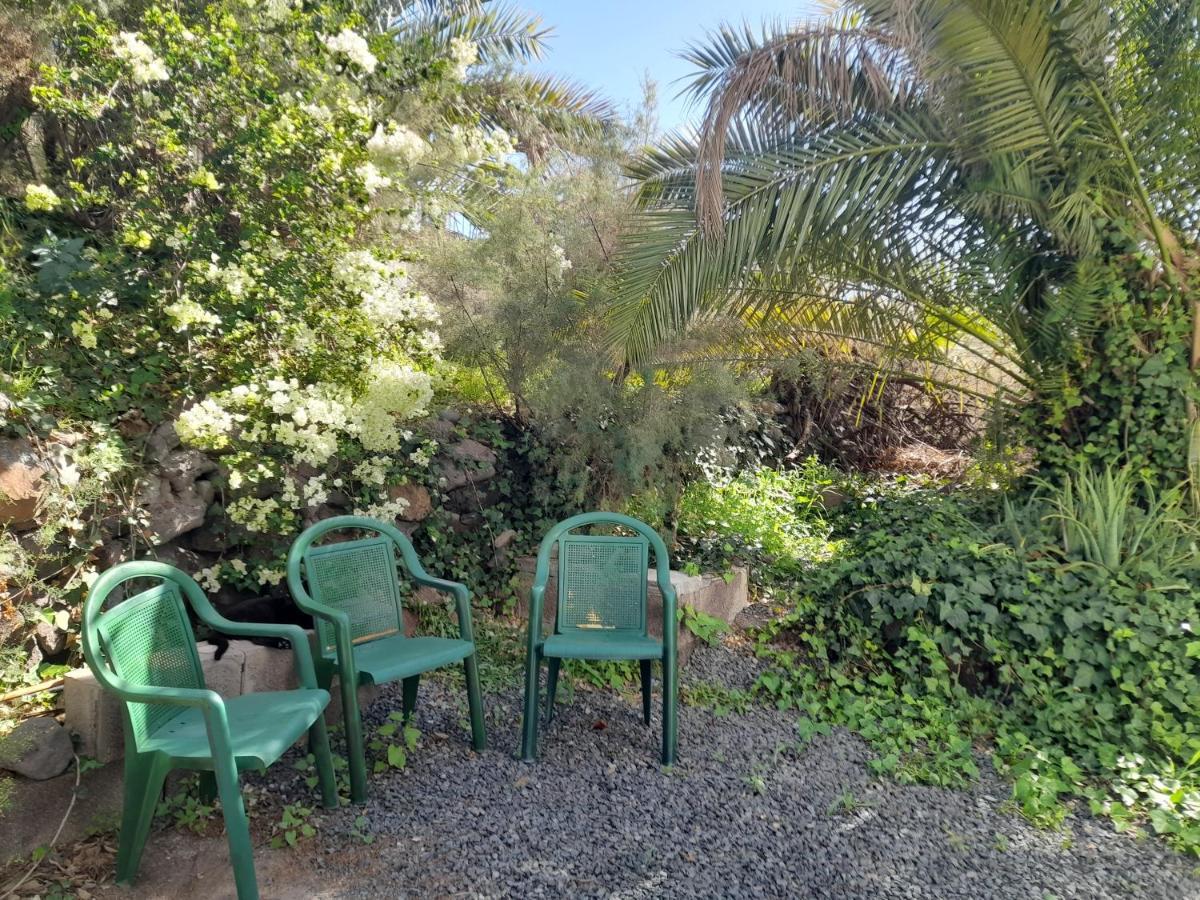 Appartement -The Garden - à Las Palmas de Gran Canaria Extérieur photo